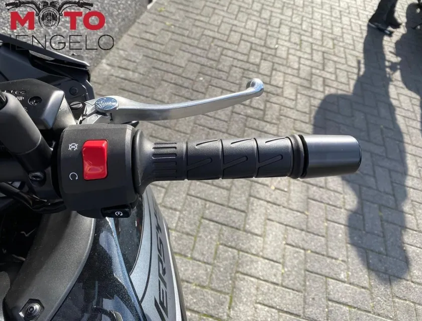 Kawasaki VERSYS 650
